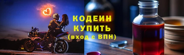 прущие грибы Балахна