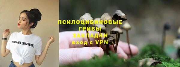 сатива Балабаново