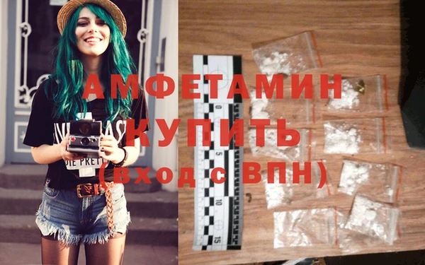 прущие грибы Балахна