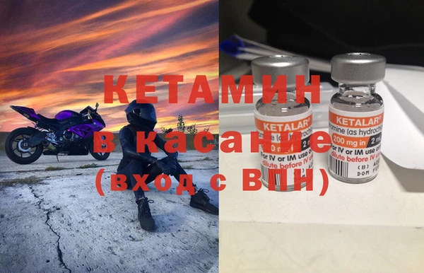 прущие грибы Балахна