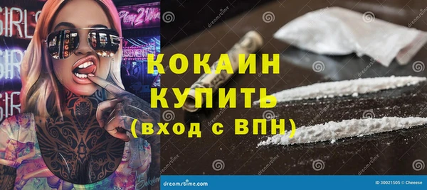 прущие грибы Балахна