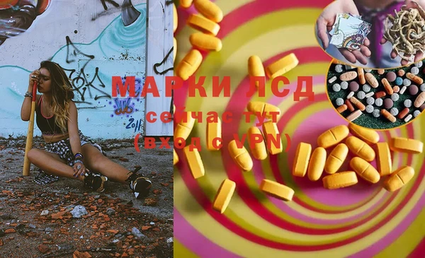 прущие грибы Балахна