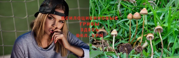 сатива Балабаново