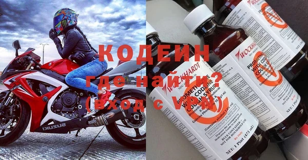 прущие грибы Балахна