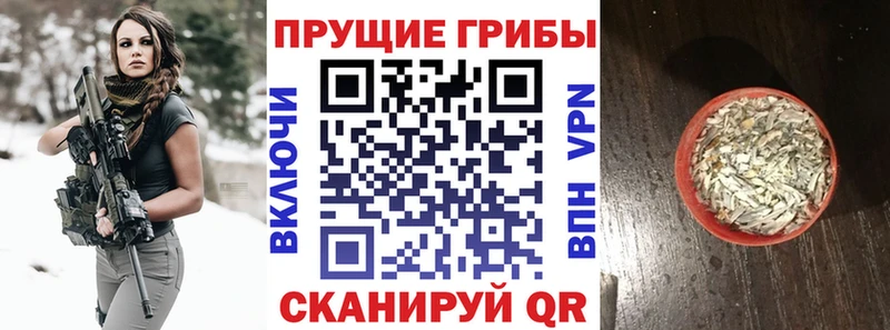 Псилоцибиновые грибы MAGIC MUSHROOMS  цены наркотик  Игра 