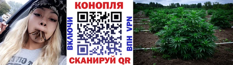 Бошки марихуана THC 21%  кракен ССЫЛКА  Игра  наркошоп 